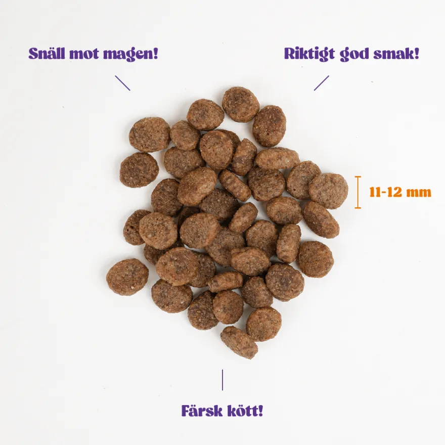 Adult Cat Regular Kylling 2 kg