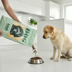 Adult Dog Regular Kylling 12 kg