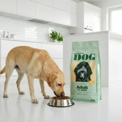 Adult Dog Regular Kylling 3 kg