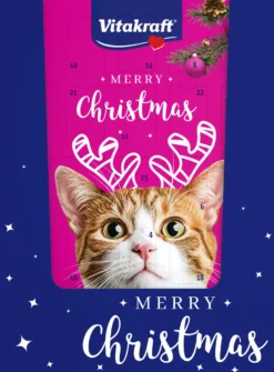 Adventskalender for katter