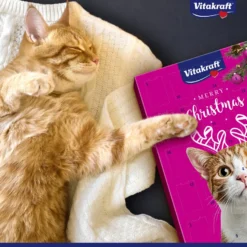 Adventskalender for katter