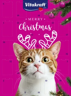 Adventskalender for katter