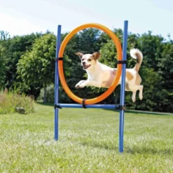 Agility-hoppeplass 78 x 65 x 115 cm