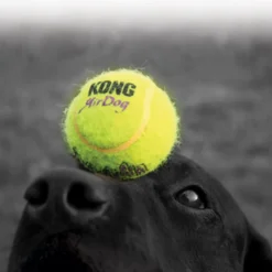 Air Dog Squeakers Ball leketøy gul XSmall