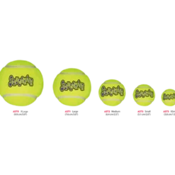 Air Dog Squeakers Ball Toy