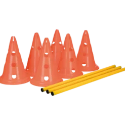 Aktivitetshindringer for hund, sett Oransje 3-hinder 78 cm