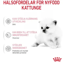 Babycat Milk 300 g