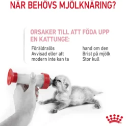 Babycat Milk 300 g