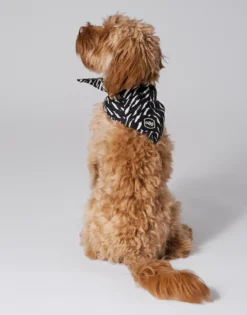 Bandana Finessish