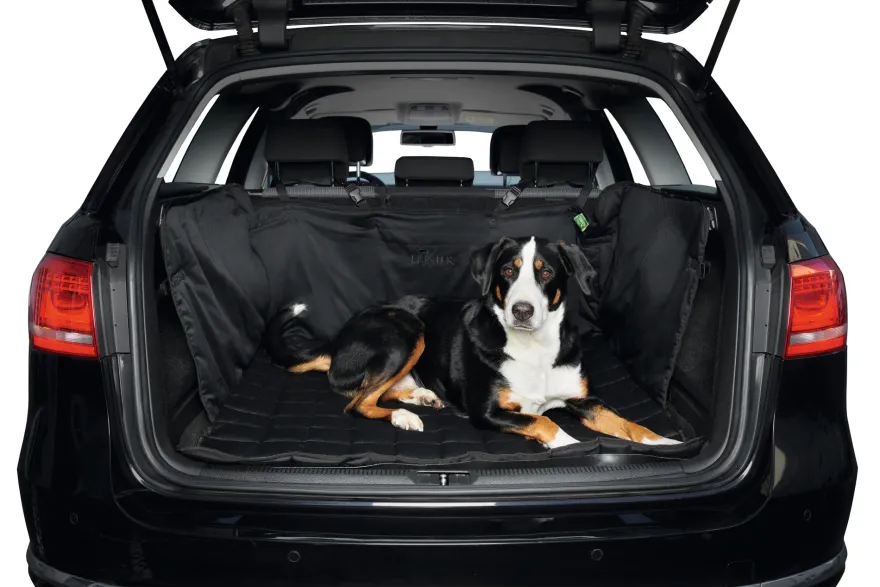 Blanket trunk Hamilton Polyester Black 100x65 cm