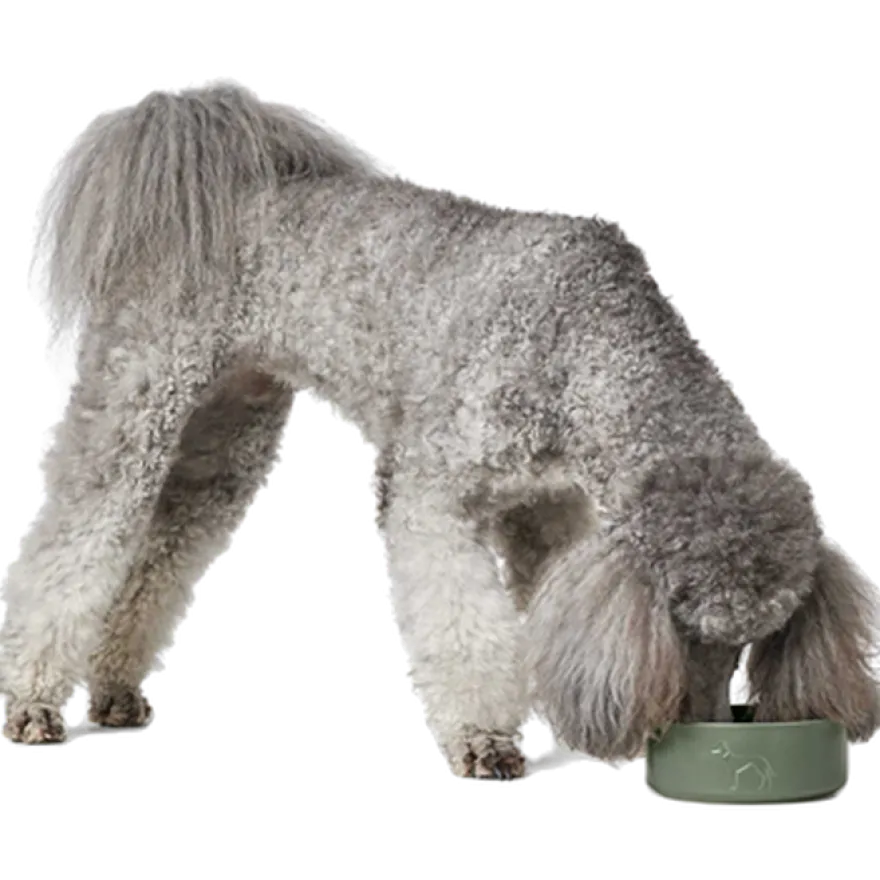 Bowl Osby White