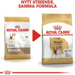 Breed Beagle Adult tørrfôr for hunder 12 kg