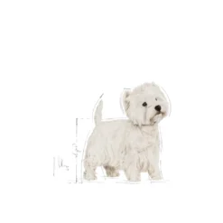 Breed West Highland Terrier Adult tørrfôr til hund 3 kg