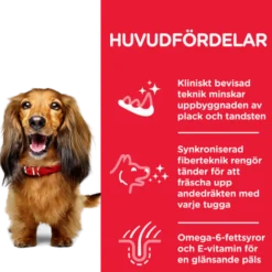 Canine Adult Oral Care Chicken - Dry Dog Food 2 kg
