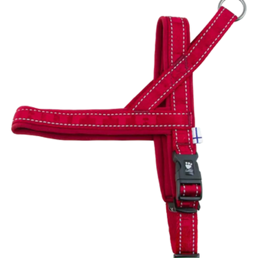 Casual Harness - Dog Walking Gear