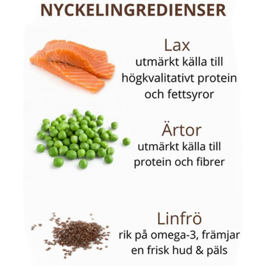 Cat Adult Ocean Kornfri Laks & Tunfisk Tørr 4 kg