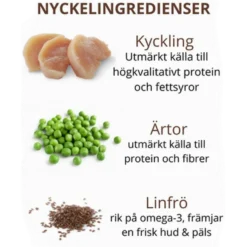 Cat Adult Sterilised Grain Free kylling og kalkun tørr 4 kg