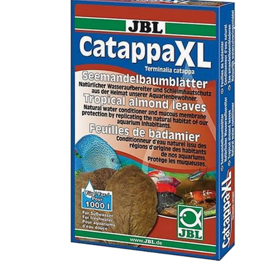 Catappa Tropical Almond Leaves for Freshwater Brown X-Large