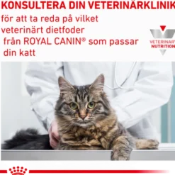 Cat Derma Anallergenic 4 kg