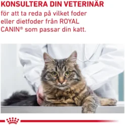 Cat Gastro Fibre Response 2 kg