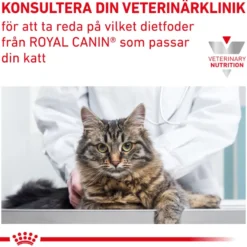 Cat Gastro Intestinal Kitten 400 g