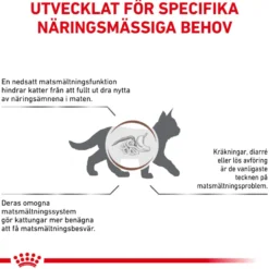 Cat Gastro Intestinal Kitten 2 kg