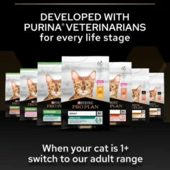 Cat Healthy Start Kitten Kylling 3 kg