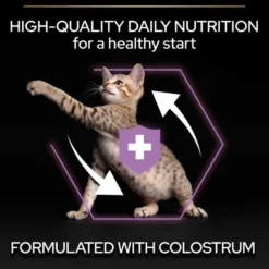 Cat Healthy Start Kitten Kylling 10 kg