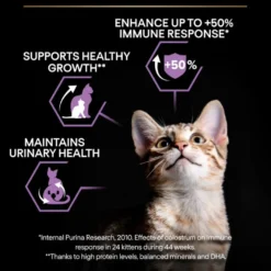 Cat Healthy Start Kitten Kylling 10 kg