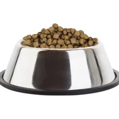 Cat Kitten Healthy Start 10 kg