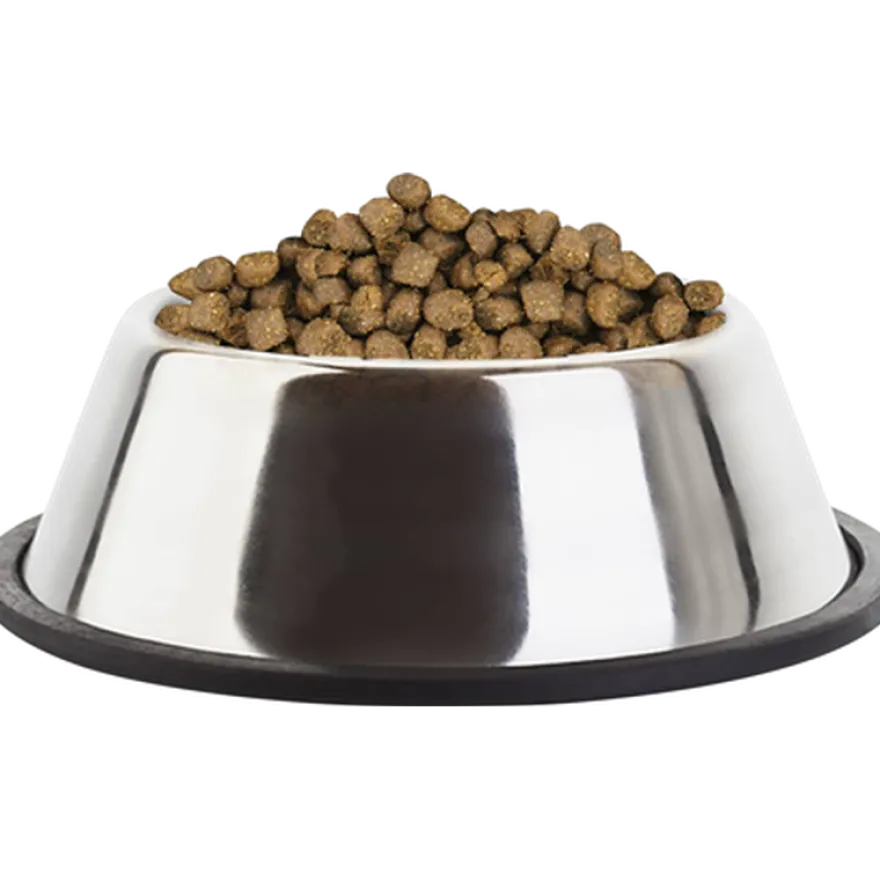 Cat Kitten Healthy Start 10 kg