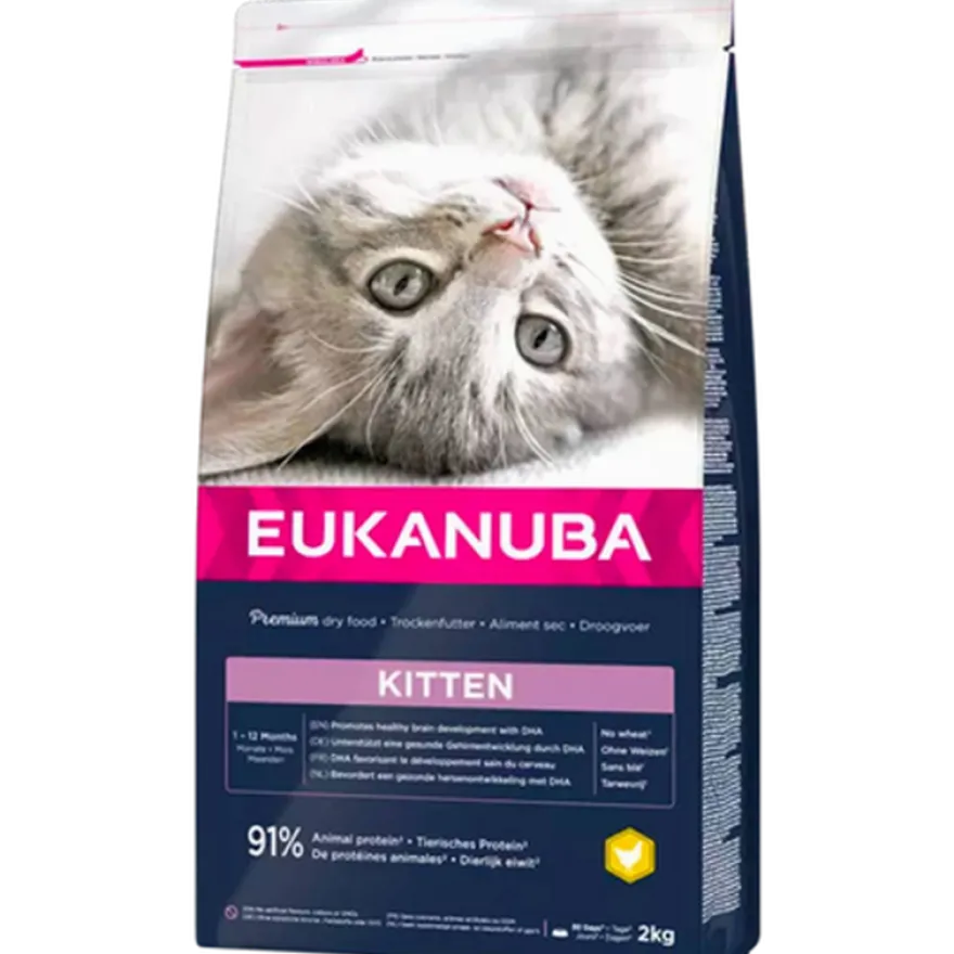 Cat Kitten Healthy Start 10 kg