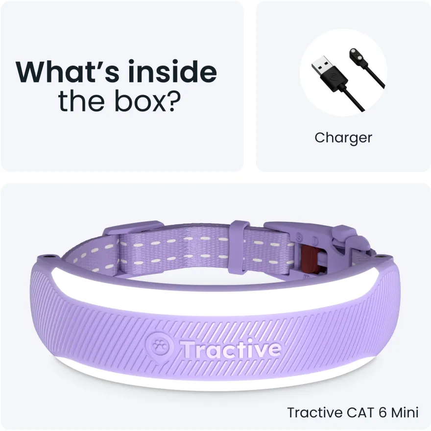 CAT 6 Mini GPS Lavendel