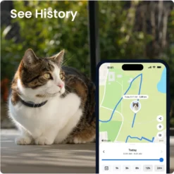 CAT 6 Mini GPS Svart