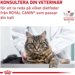 Cat Renal Select 2 kg