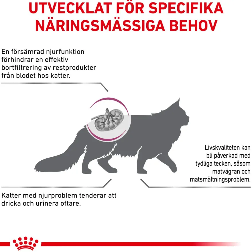 Cat Renal Special 2 kg