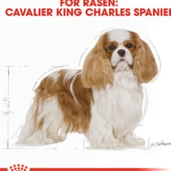 Cavalier King Charles Adult tørrfôr for voksne hunder 1,5 kg
