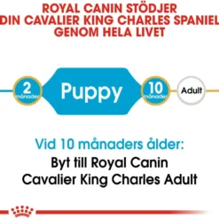 Cavalier King Charles valp tørrfôr for valp 1,5 kg