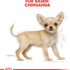 Chihuahua Puppy tørrfôr for valper 1,5 kg