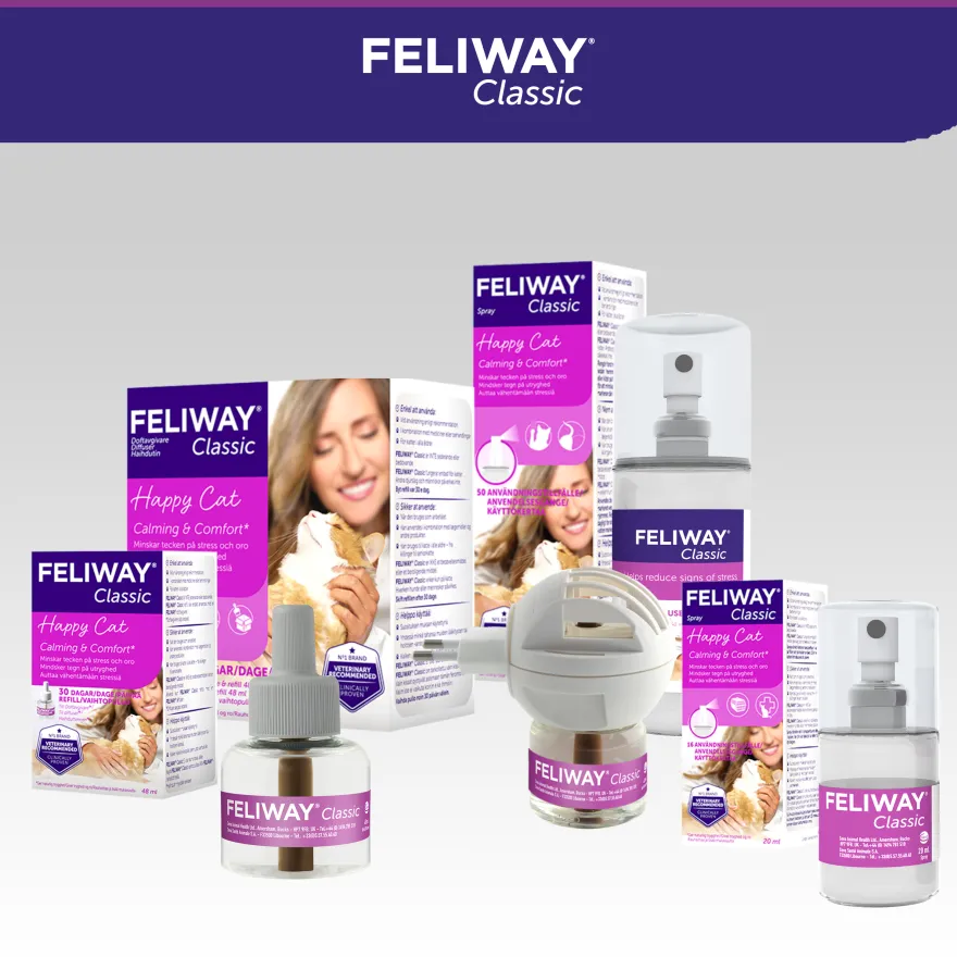 Classic Refill Diffuser 48 ml