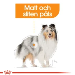 Coat Care Adult Mini tørrfôr for hunder 3 kg