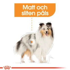 Coat Care Loaf Våtfôr Til Hund 12 x 85 g