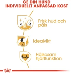 Cocker Adult tørrfôr for hunder 3 kg