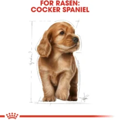 Cocker Spaniel Puppy tørrfôr for valper 3 kg