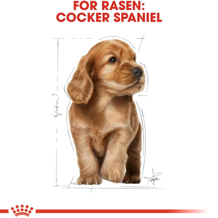 Cocker Spaniel Puppy tørrfôr for valper 3 kg