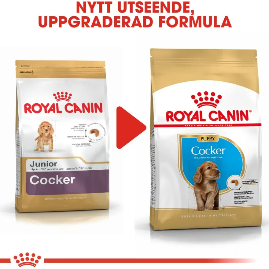 Cocker Spaniel Puppy tørrfôr for valper 3 kg