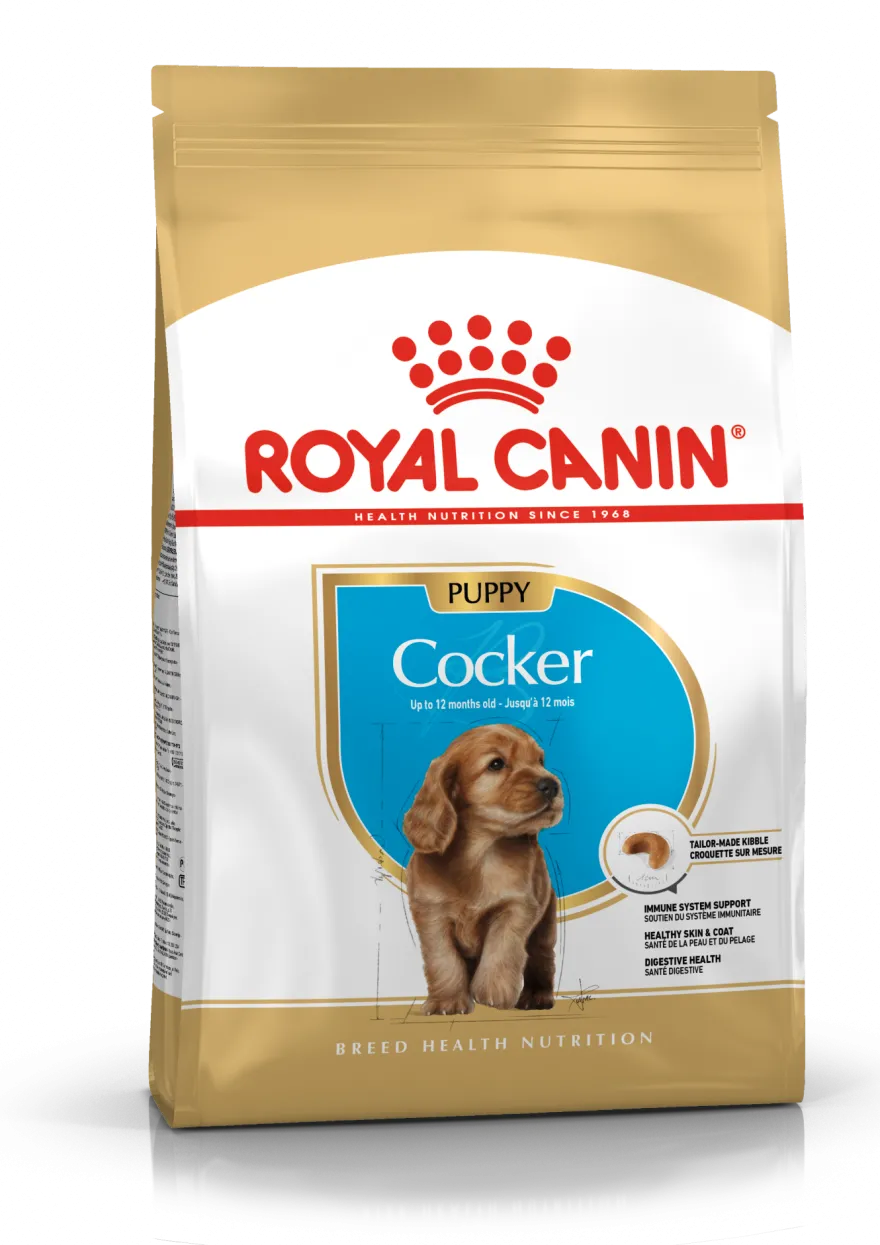 Cocker Spaniel Puppy tørrfôr for valper 3 kg