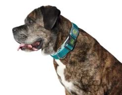 Collar Hilo VP Mesh Turquoise