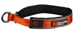 Cruise Collar Orange XS 36cm