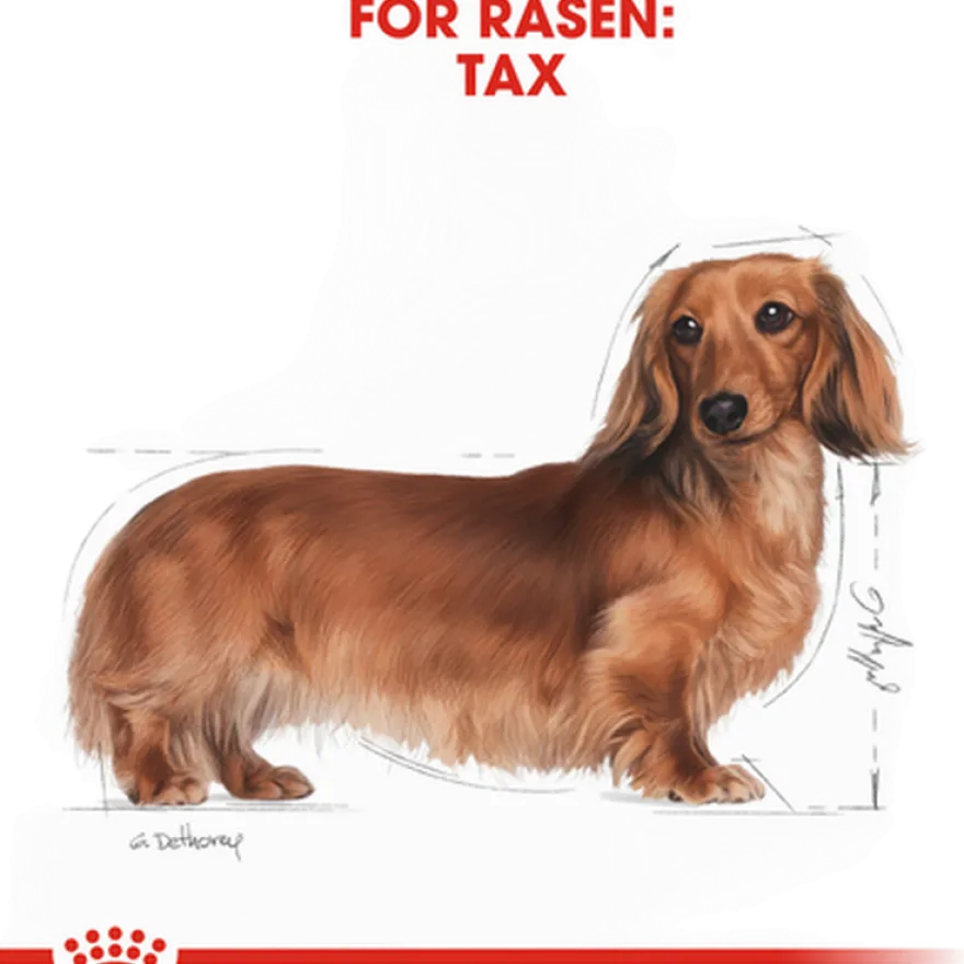 Dachshund Adult tørrfôr for hunder 7,5 kg